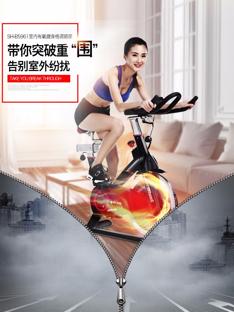舒华SHUA动感单车家用室内静音健身车单车自行车健身器材B5961S