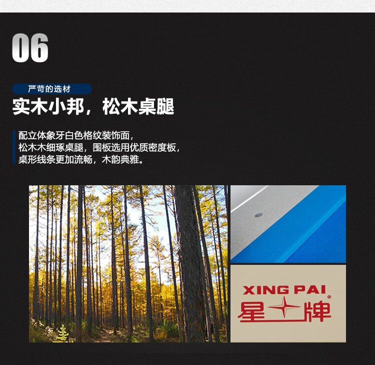 星牌（XING PAI）美式台球桌九球桌球台家用台球桌桌球案子球厅球房俱乐部XW138-9B(图9)