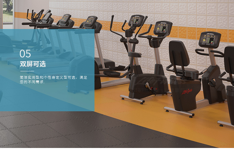 2-19112QF106107.jpg LifeFitness-力健进口靠背卧式健身车家用磁控室内自行车健身器材RS1-G(图8)